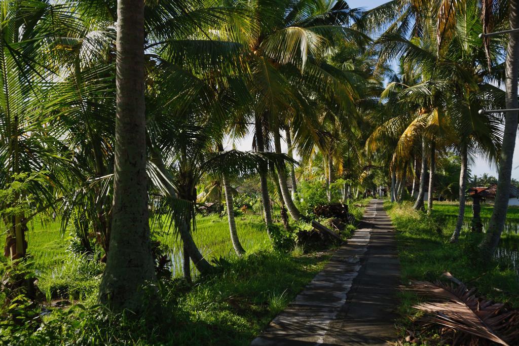 Satori Villas Bali Ubud  Luaran gambar