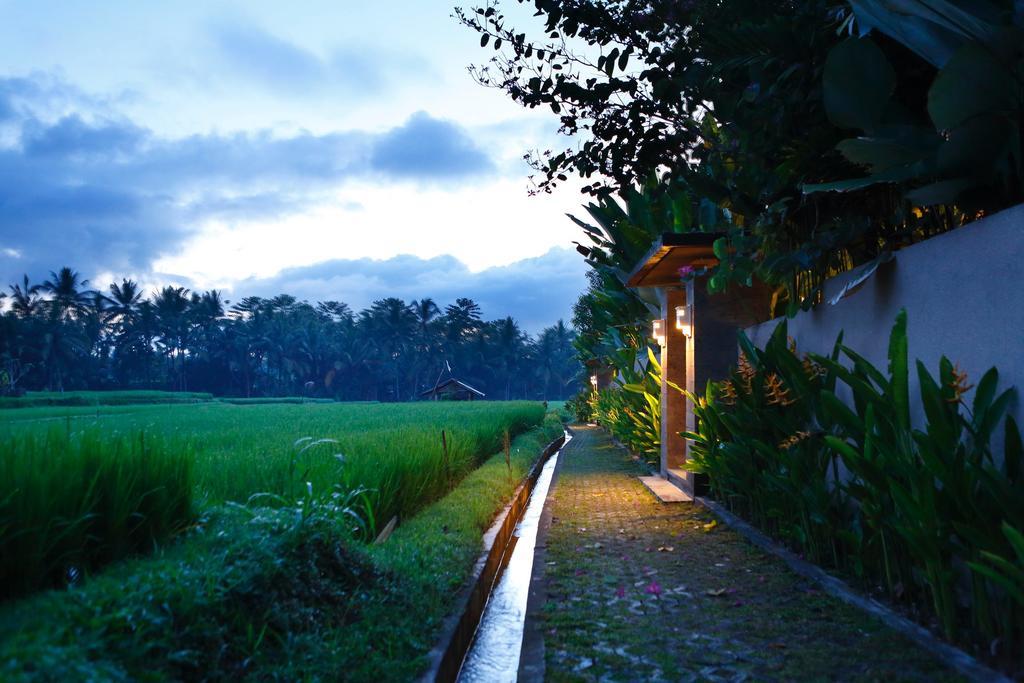 Satori Villas Bali Ubud  Luaran gambar