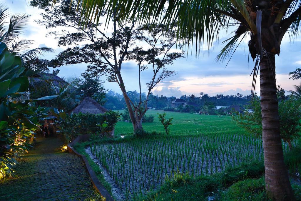 Satori Villas Bali Ubud  Luaran gambar