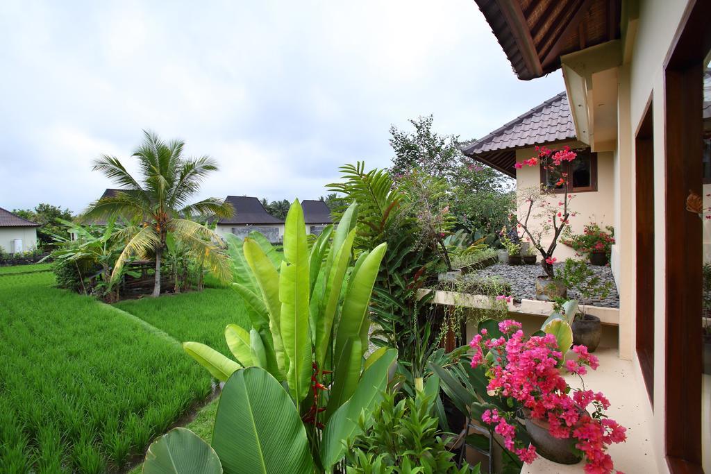 Satori Villas Bali Ubud  Luaran gambar