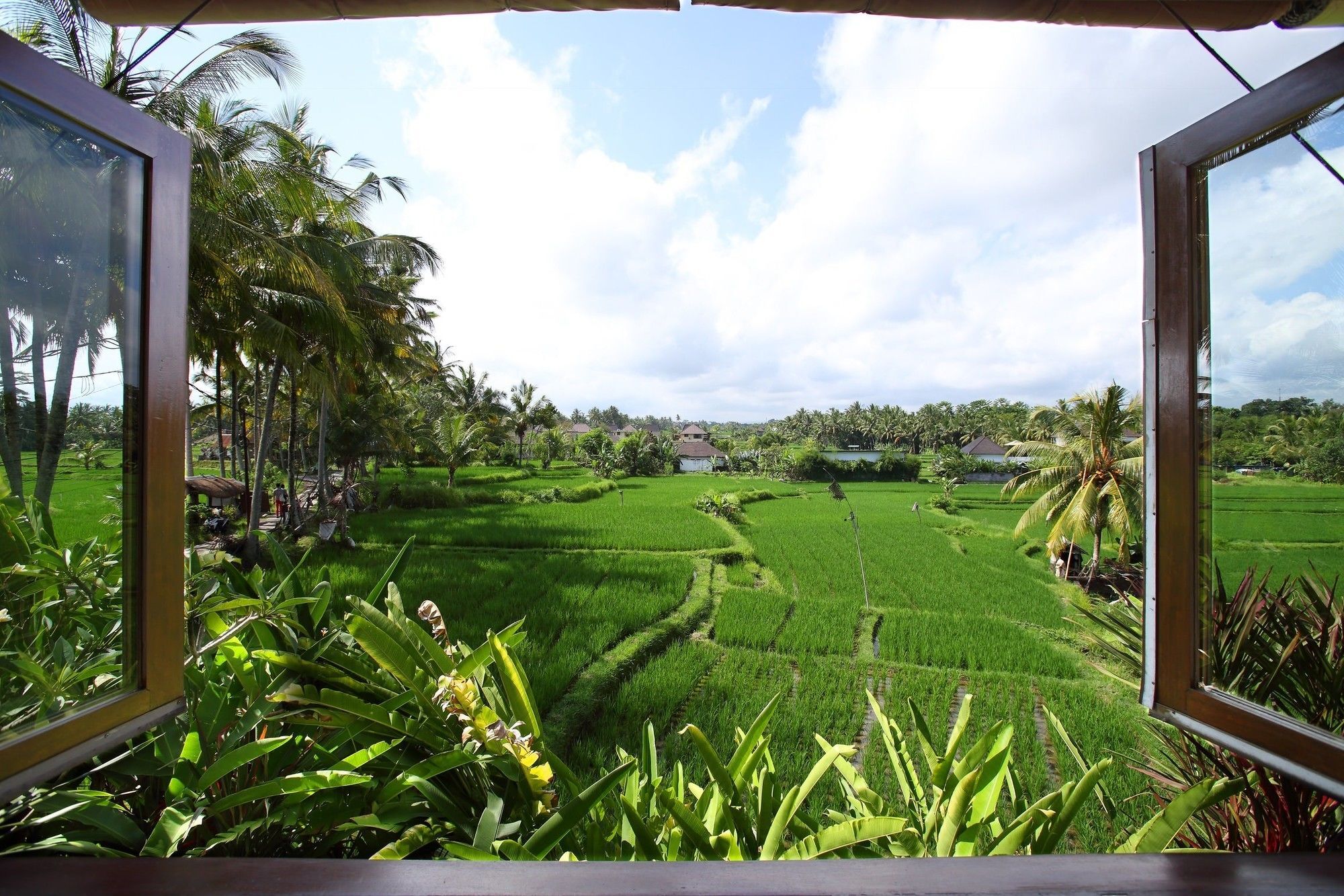 Satori Villas Bali Ubud  Luaran gambar