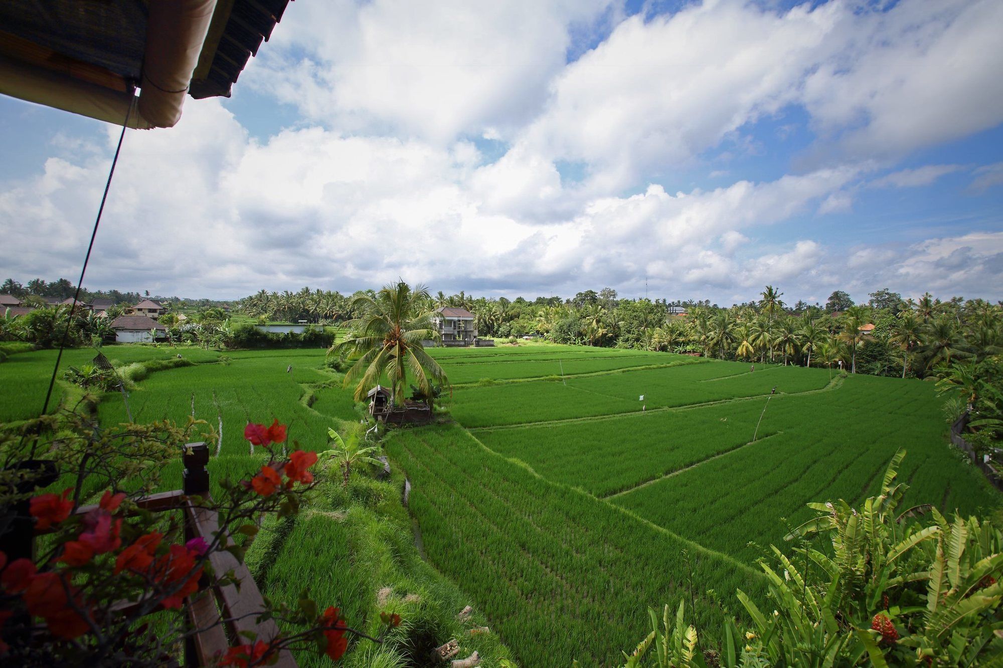 Satori Villas Bali Ubud  Luaran gambar